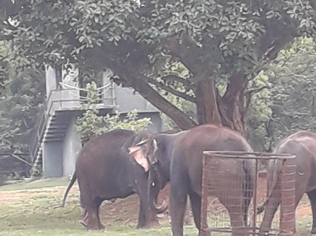 Visit Sunderbans- Take A Break Travels-Gosaba必去景点
