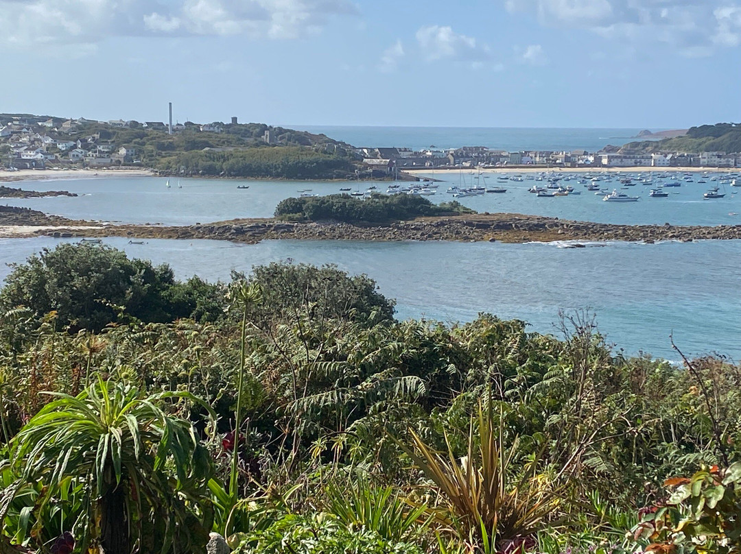 Island Rover Minibus Tours