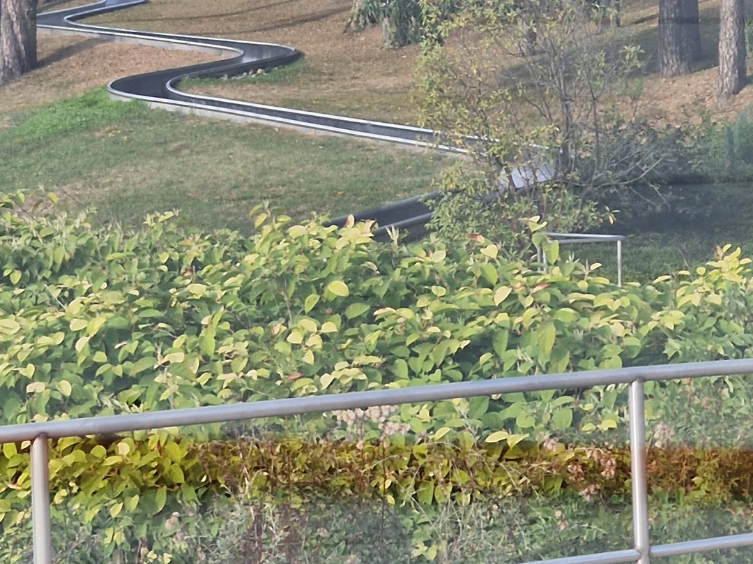 Plage Municipale-托农莱班必去景点