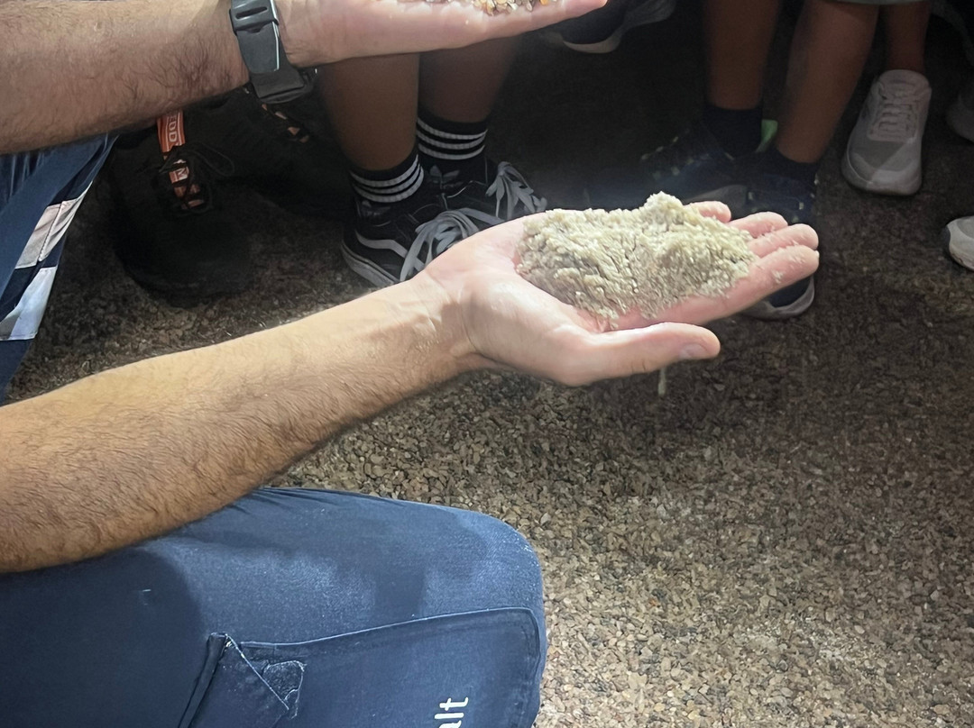 Mina de Sal-Gema de Loulé-Loule必去景点