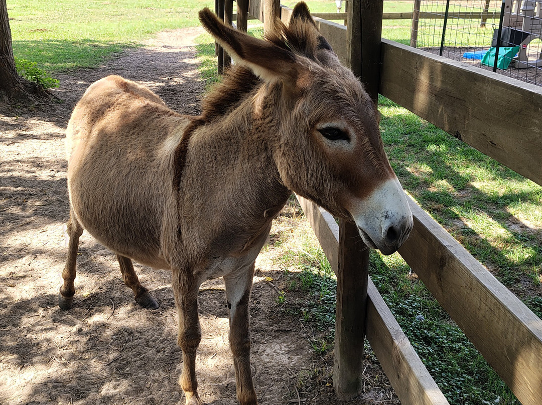 Turquoise Acres Ranch