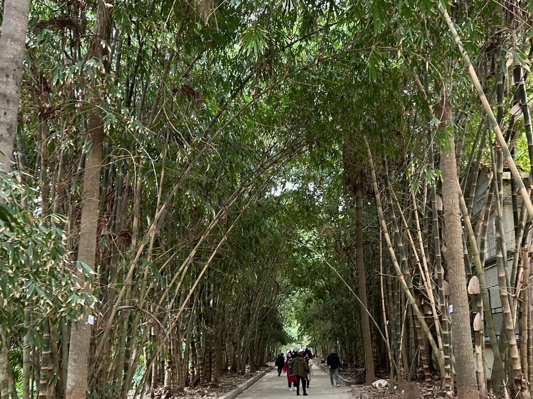 Elya Shop Cosmétique-奥兰必去景点