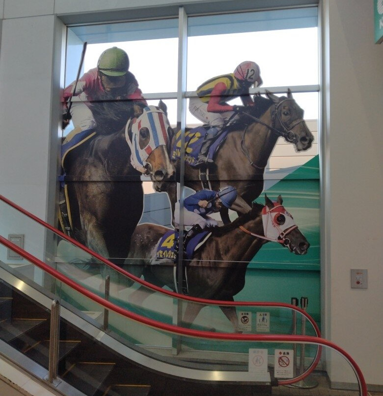 Kawasaki Race Course-川崎市必去景点