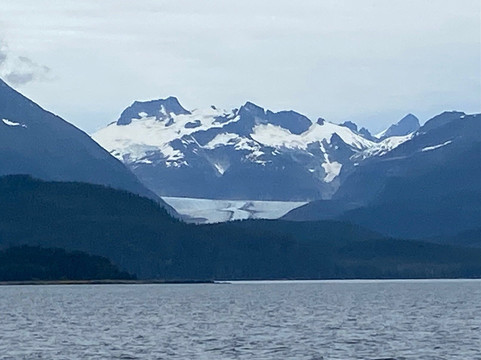 Whale Watching and Wildlife Quest-朱诺必去景点