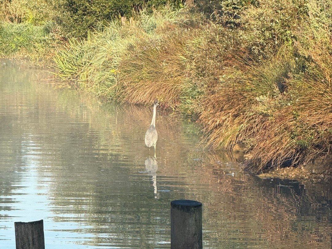 Marwell Activity Centre-Owslebury必去景点