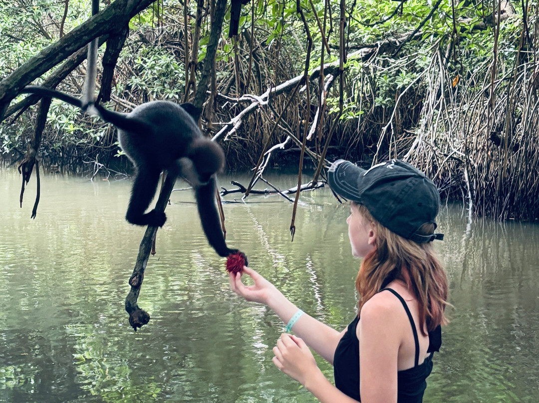 Sri Lanka Explorer-瓦都瓦必去景点