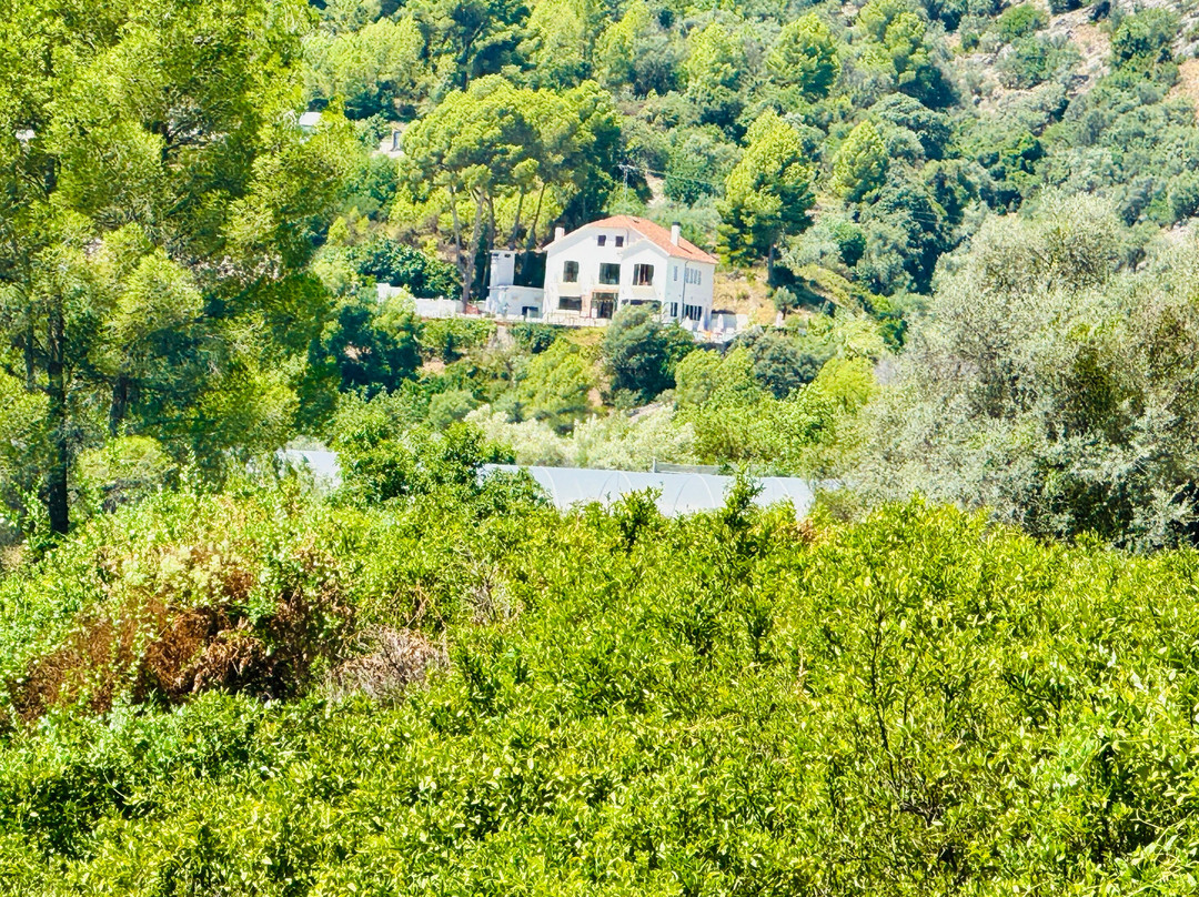 La Casa Del Pantano主图