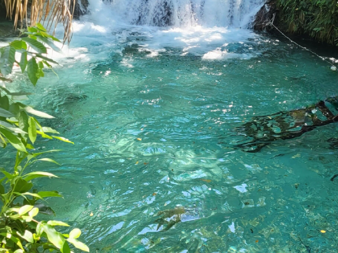 Jalapao 360° -Aventura Eco-Palmas必去景点