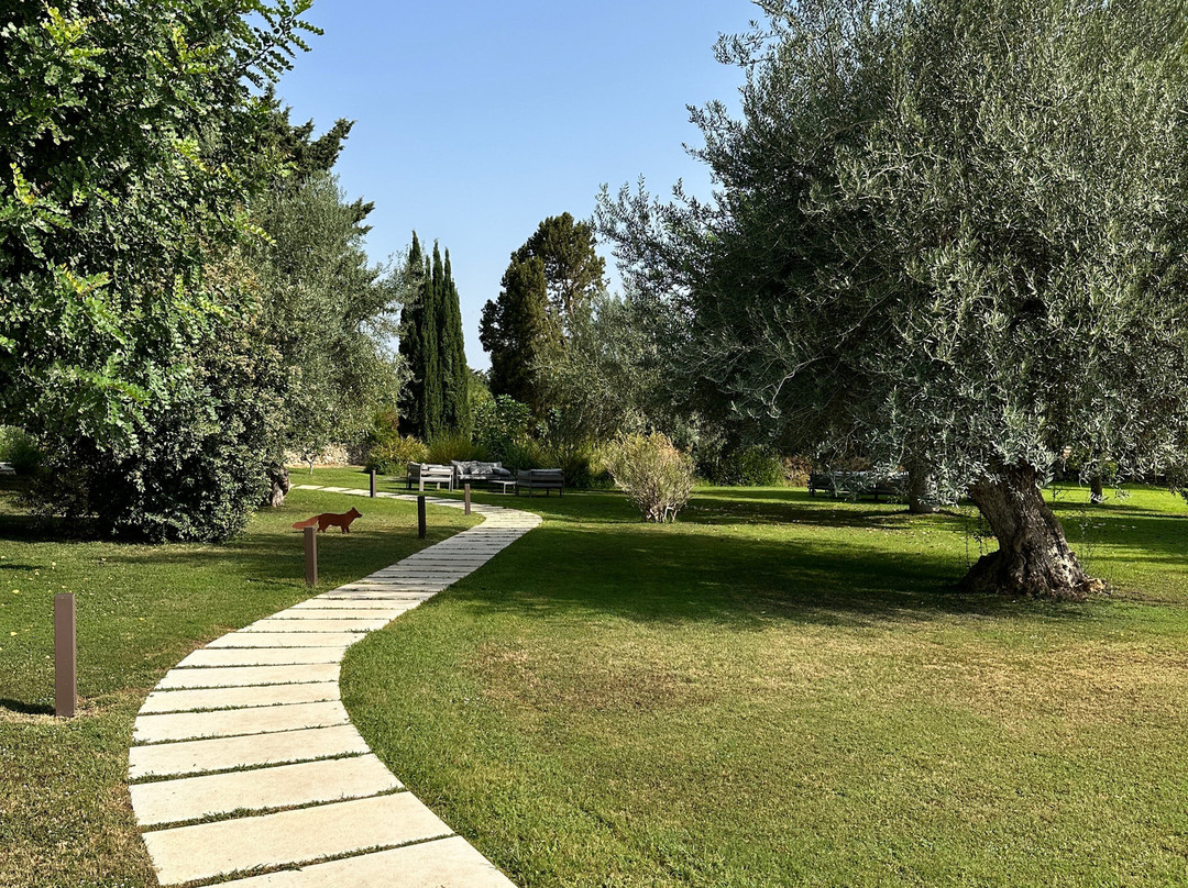 Masseria Della Volpe主图
