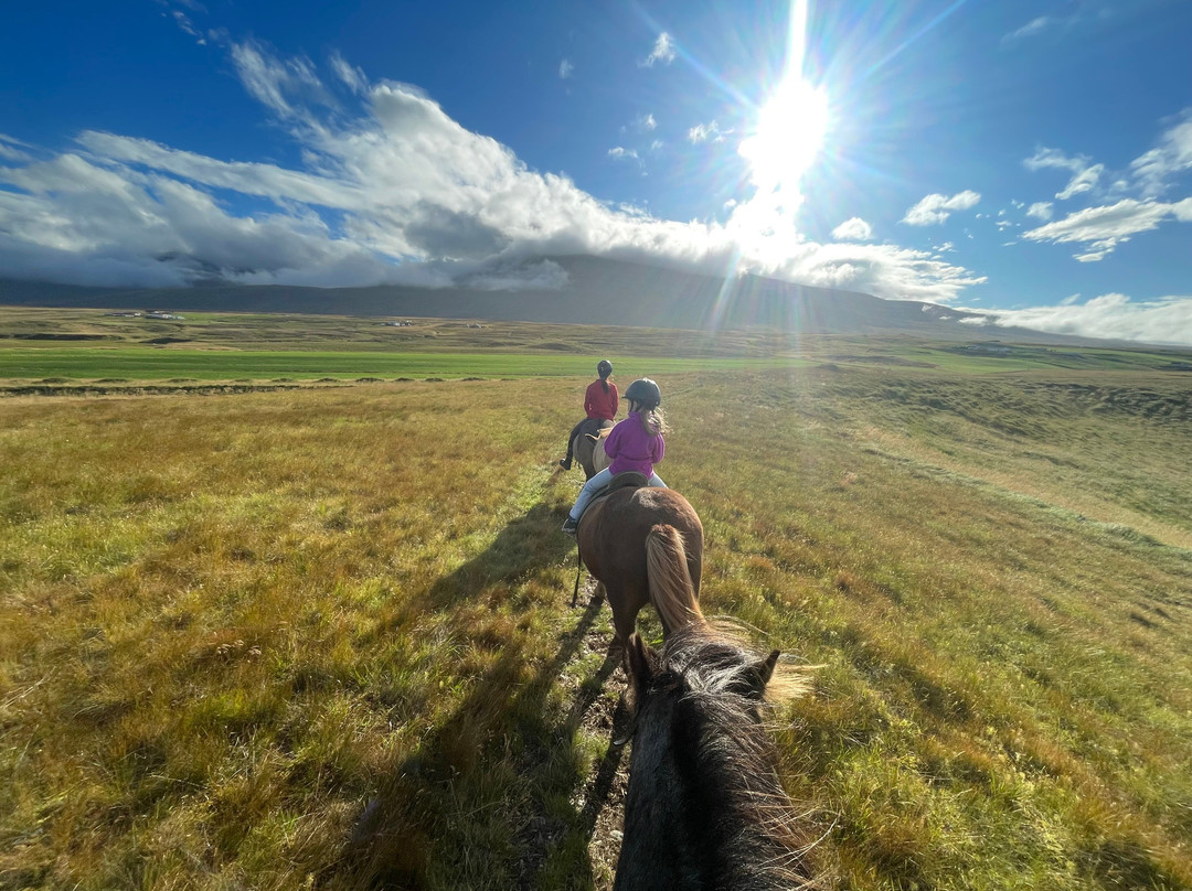 Stora - Asgeirsa-华姆斯唐吉必去景点