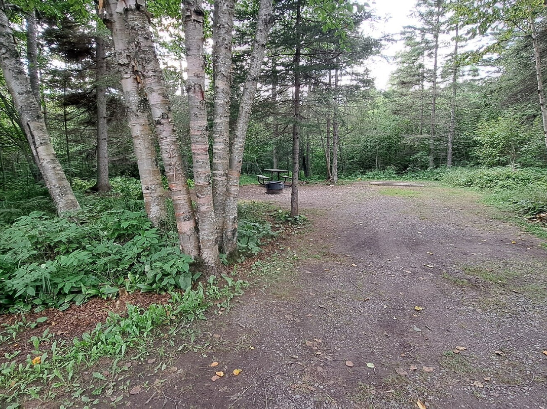 Judge C.R. Magney State Park-大马雷必去景点