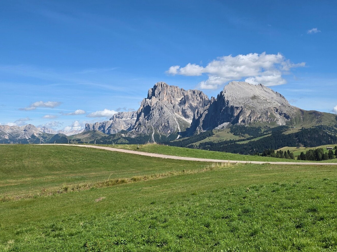 Alpe di Siusi-Alpe di Siusi必去景点