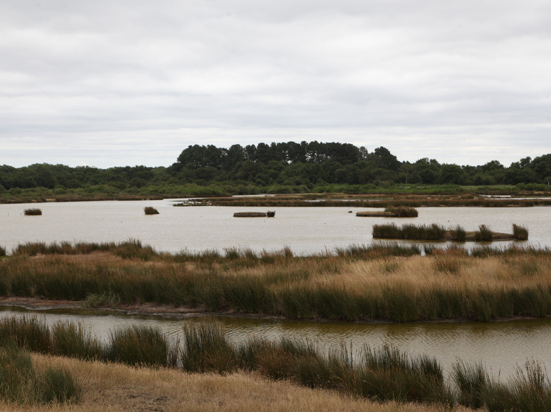 Réserve Ornithologique Du Teich-Le Teich必去景点
