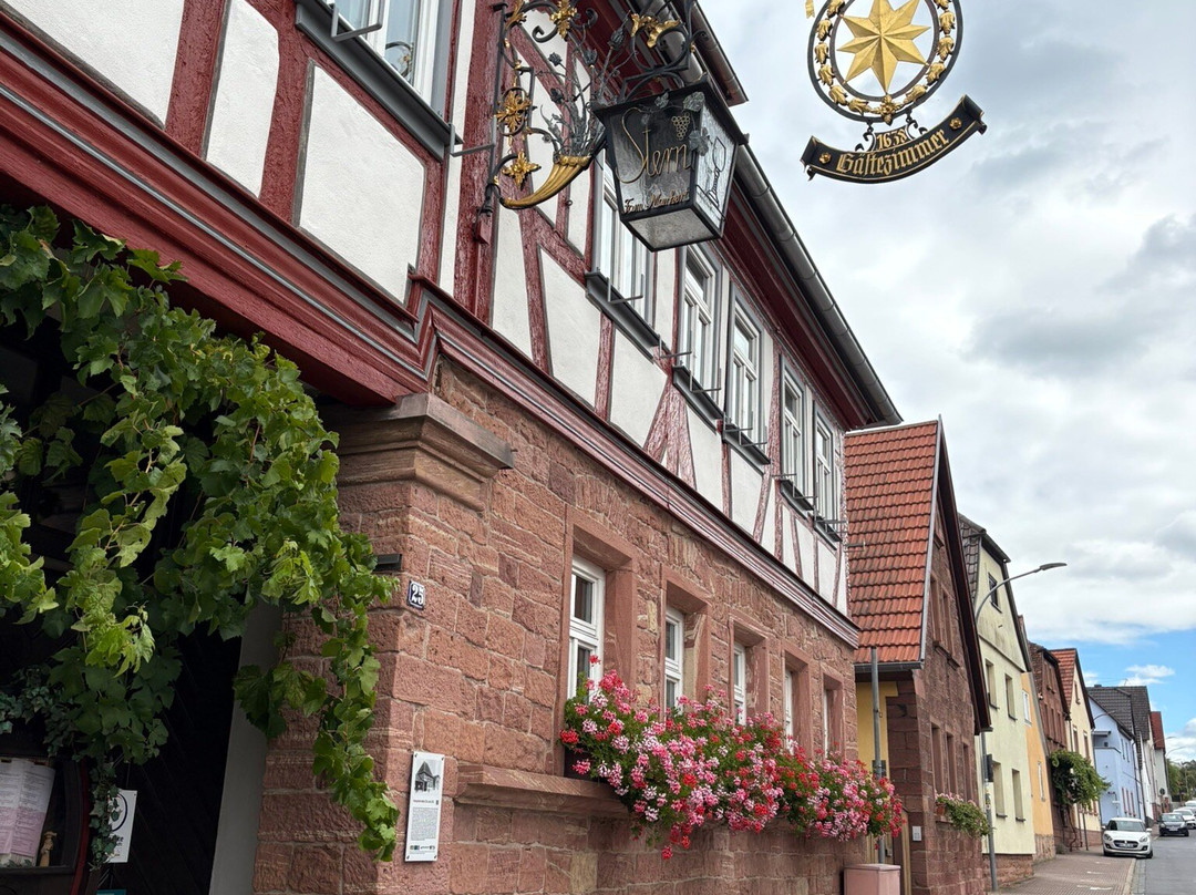 Weinhaus Stern Hotel主图