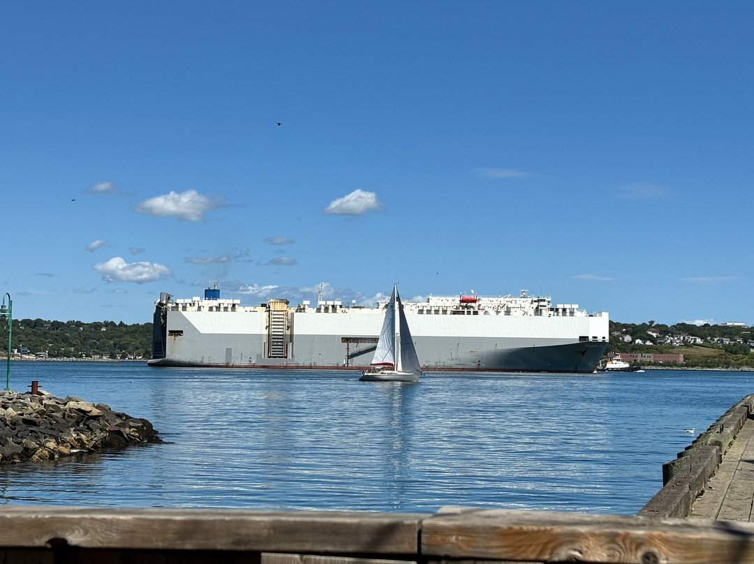 Halifax Waterfront Boardwalk-哈利法克斯必去景点