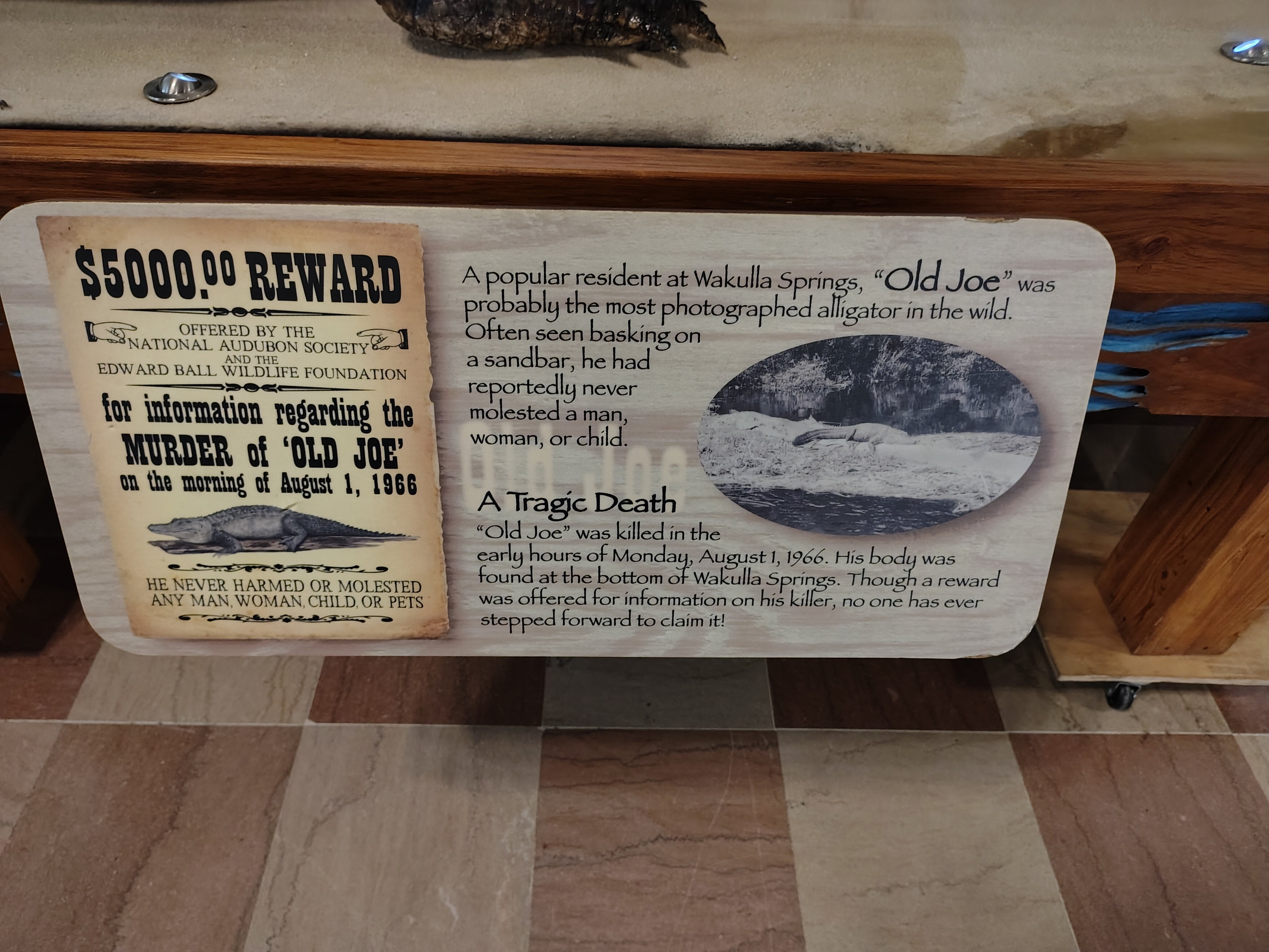 The Lodge at Wakulla Springs-浴室