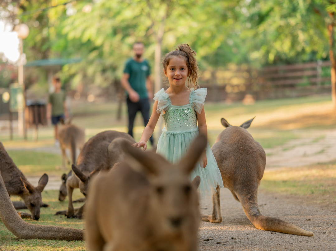 Gan Garoo Zoo-Nir David必去景点