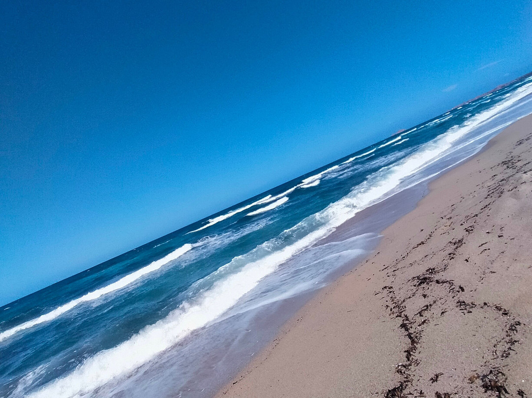 Spiaggia Li Junchi - Badesi-Badesi必去景点