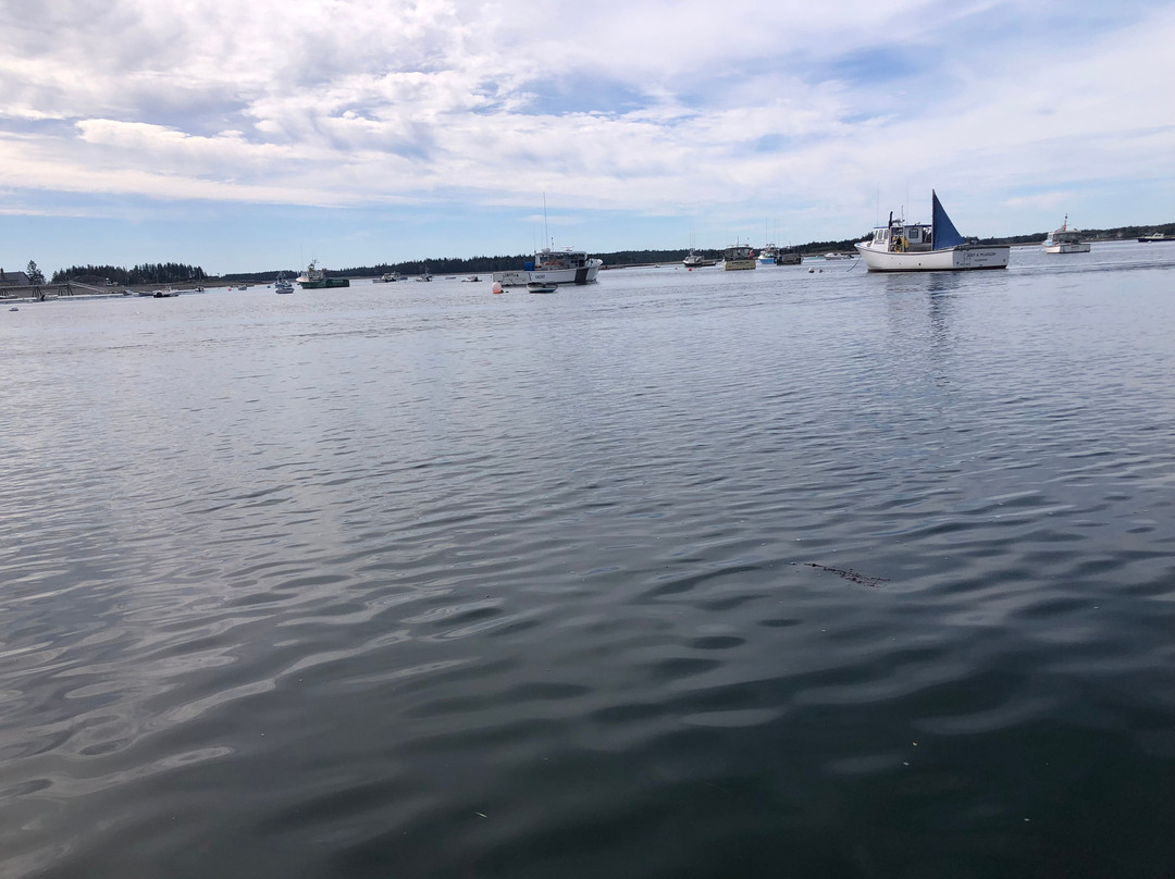 Sea Princess Cruises-Mount Desert必去景点