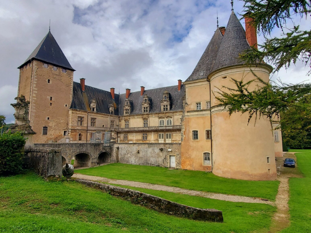 Château de Fléville-Fleville-devant-Nancy必去景点
