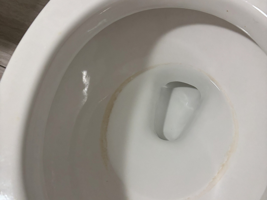 Super 8 By Wyndham Columbus主图