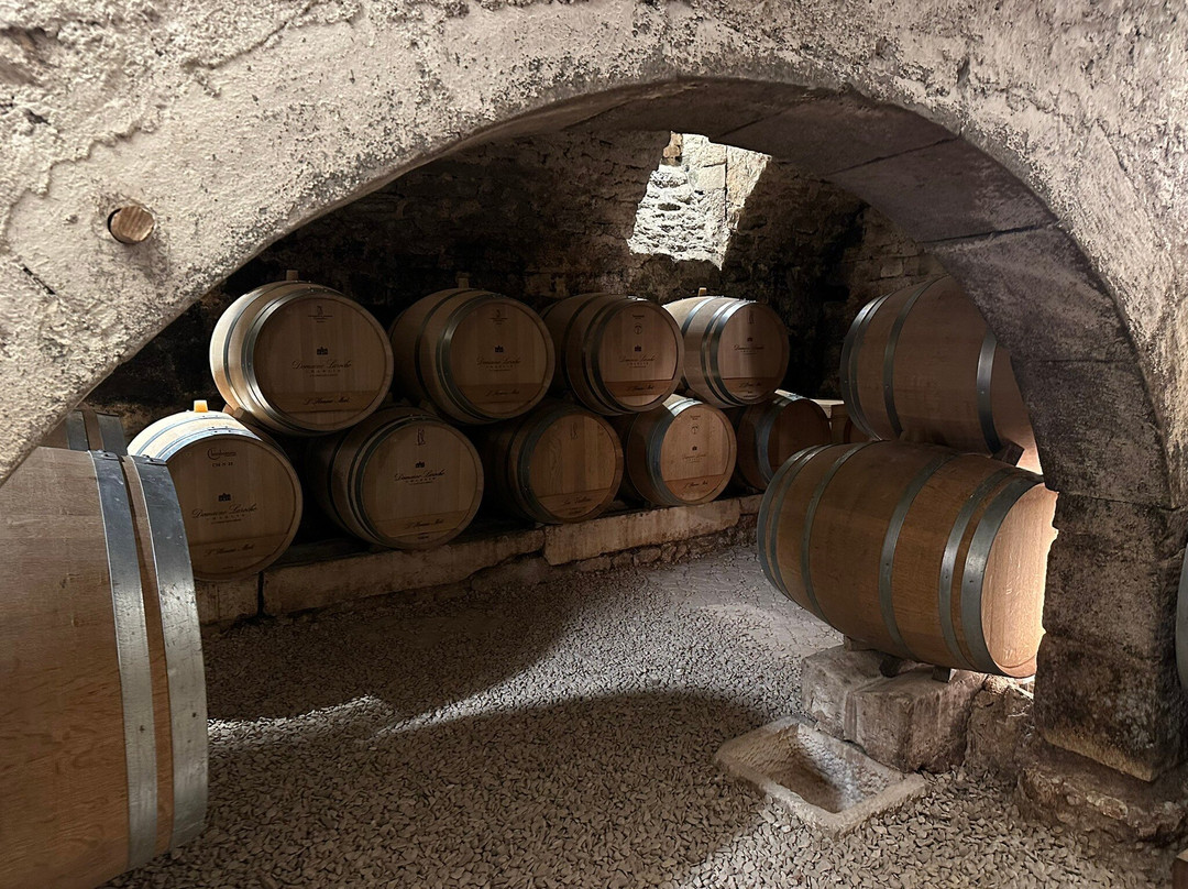 Domaine Laroche-Chablis必去景点