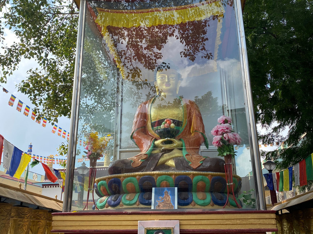 India Private Tour Driver-新德里必去景点