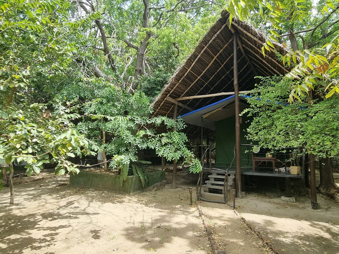 Camp Leopard - Yala Safari Glamping主图