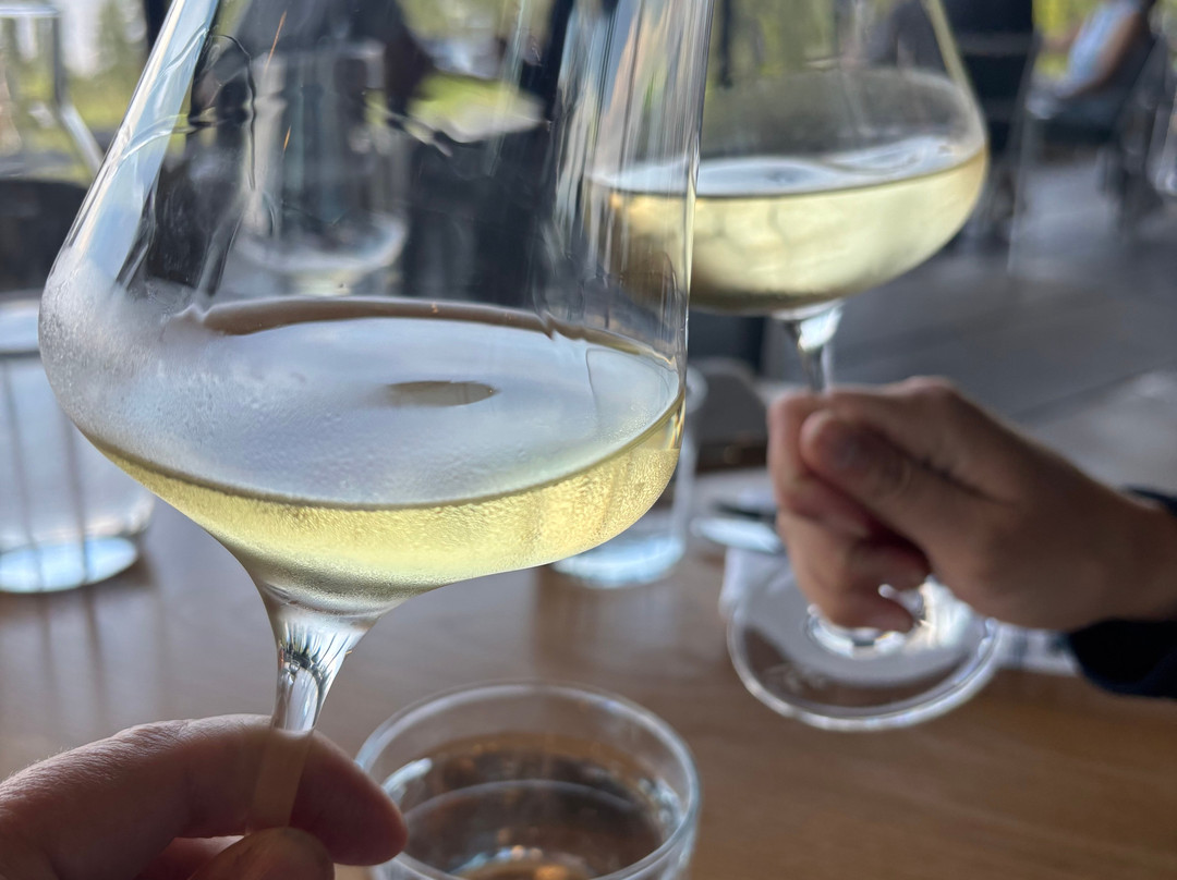 Beach Bum Tours-Lake Country必去景点