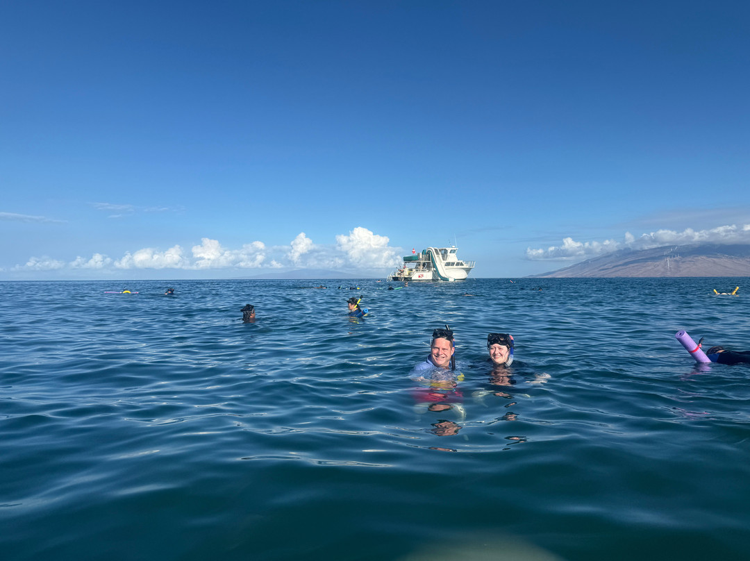 Maui Snorkeling-玛阿拉也亚必去景点