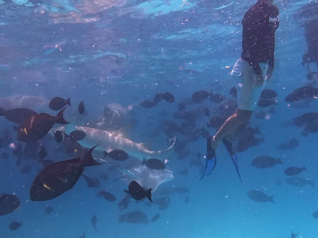 Gaadi Tours-康杜玛岛必去景点