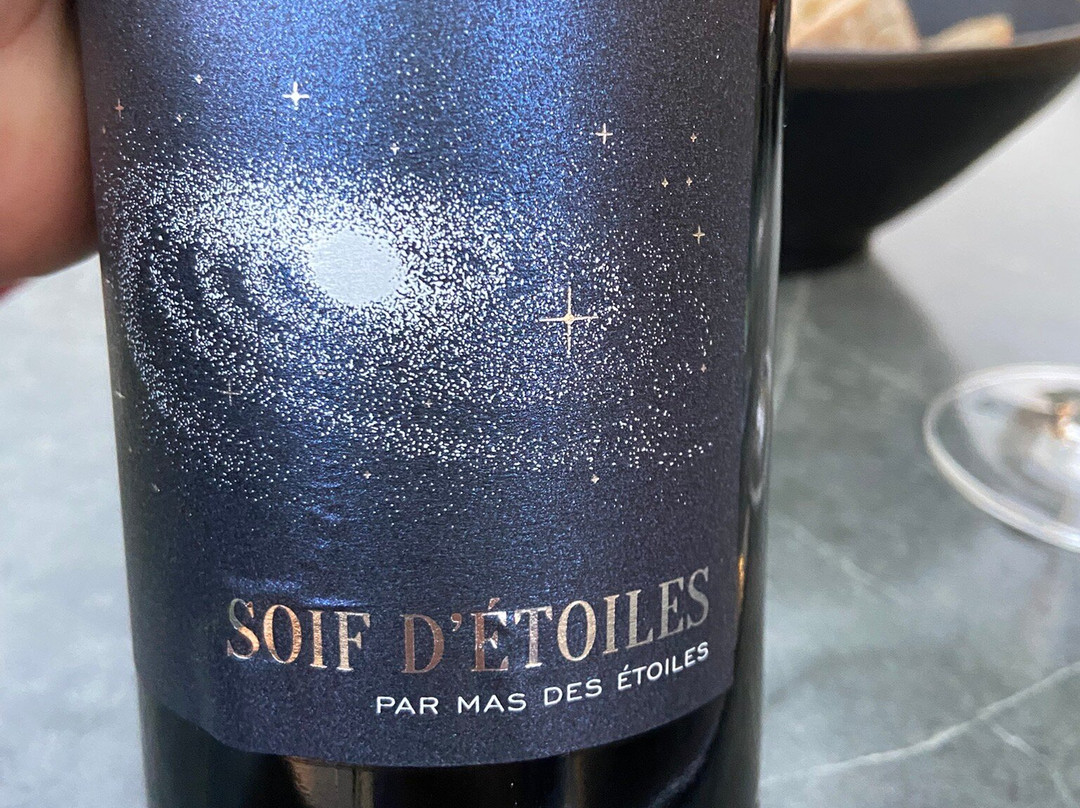 Maison Oppoca Hôtel Restaurant & Spa主图