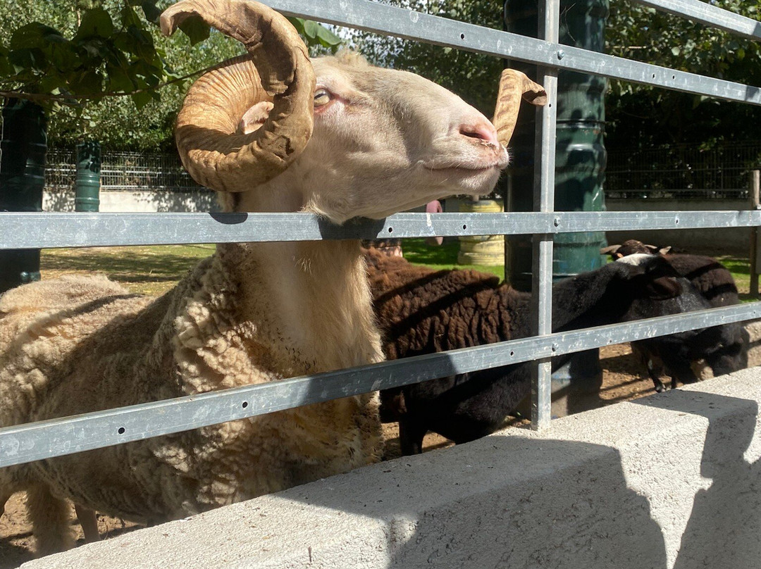 Quinta Pedagógica Quinta das Manas-吉马良斯必去景点