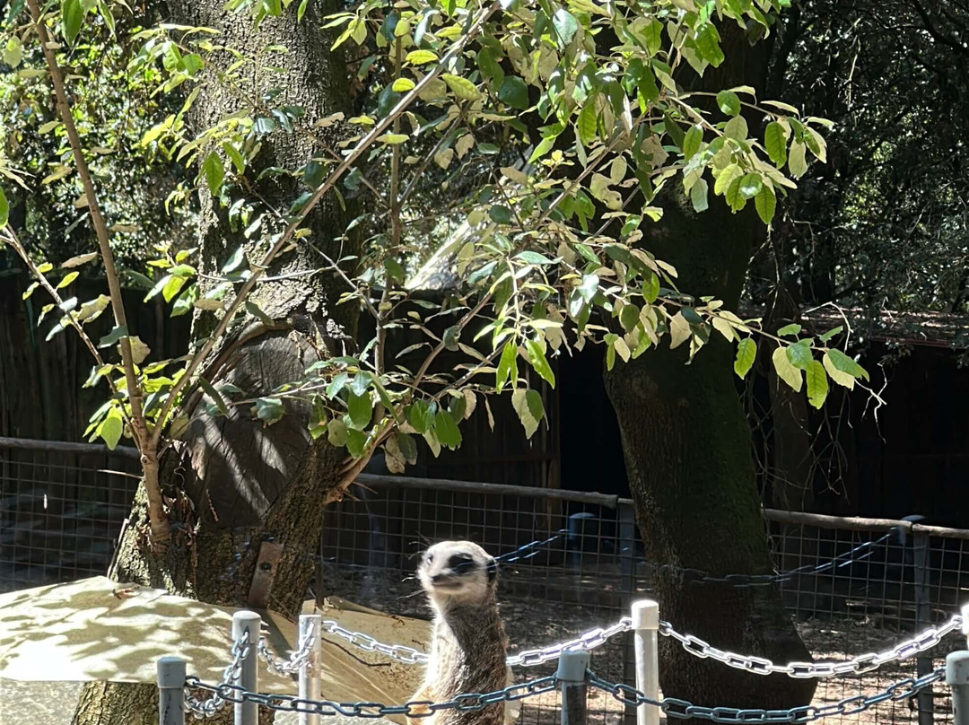 Città Della Domenica-佩鲁贾必去景点