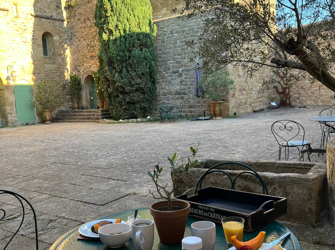 Chateau Saint-Pierre De Mejans-Puyvert必去景点