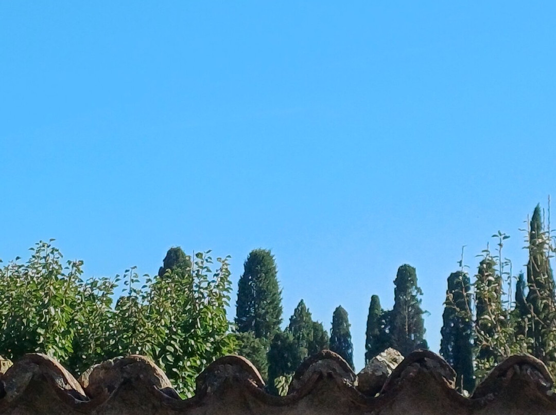 威尼斯资讯-威尼斯必去景点