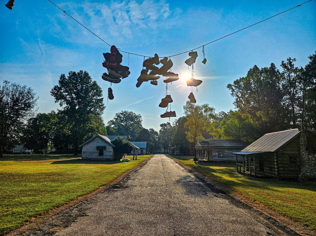 Jackson Lake Island-Millbrook必去景点