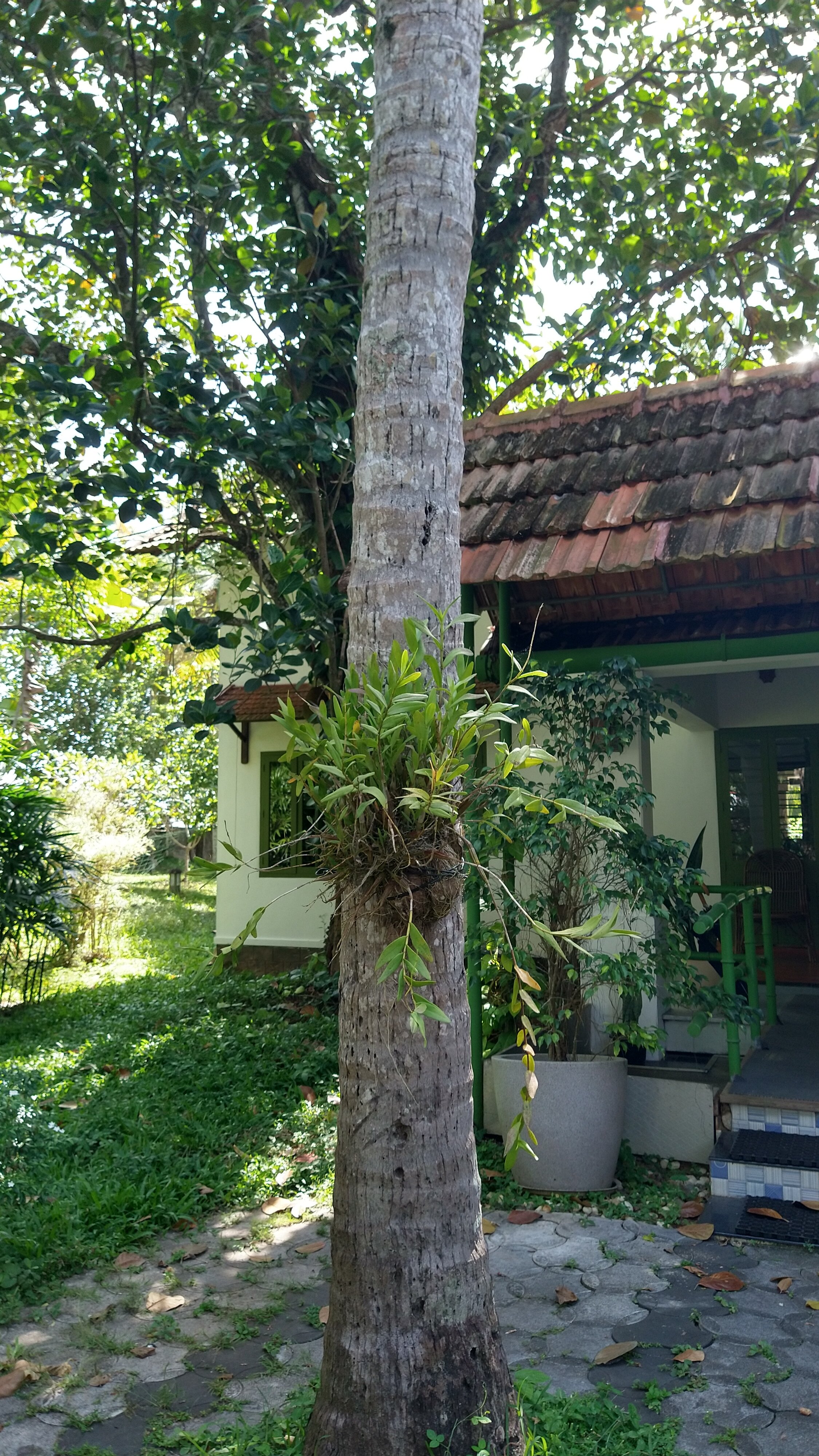 Aanandakosha Ayurveda Retreat-浴室