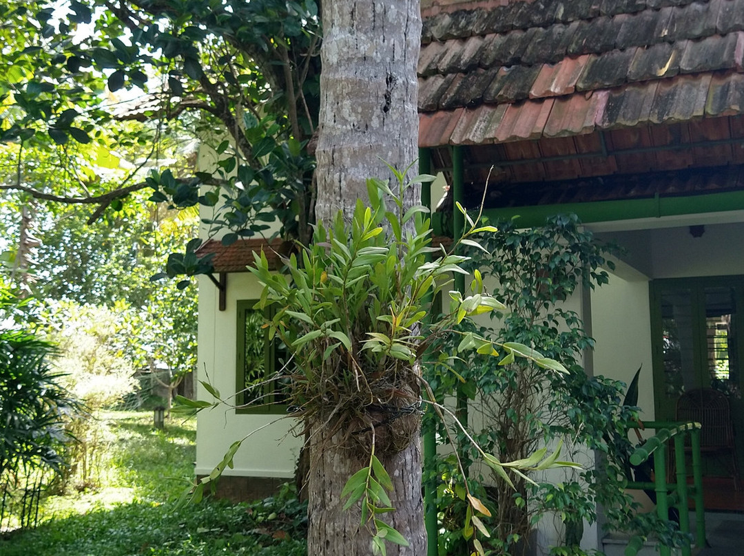 Aanandakosha Ayurveda Retreat主图