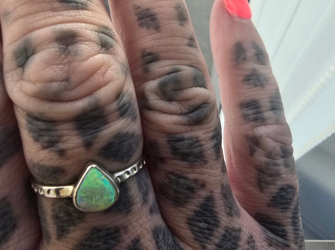 Australian Outback Opals-丹百林山必去景点