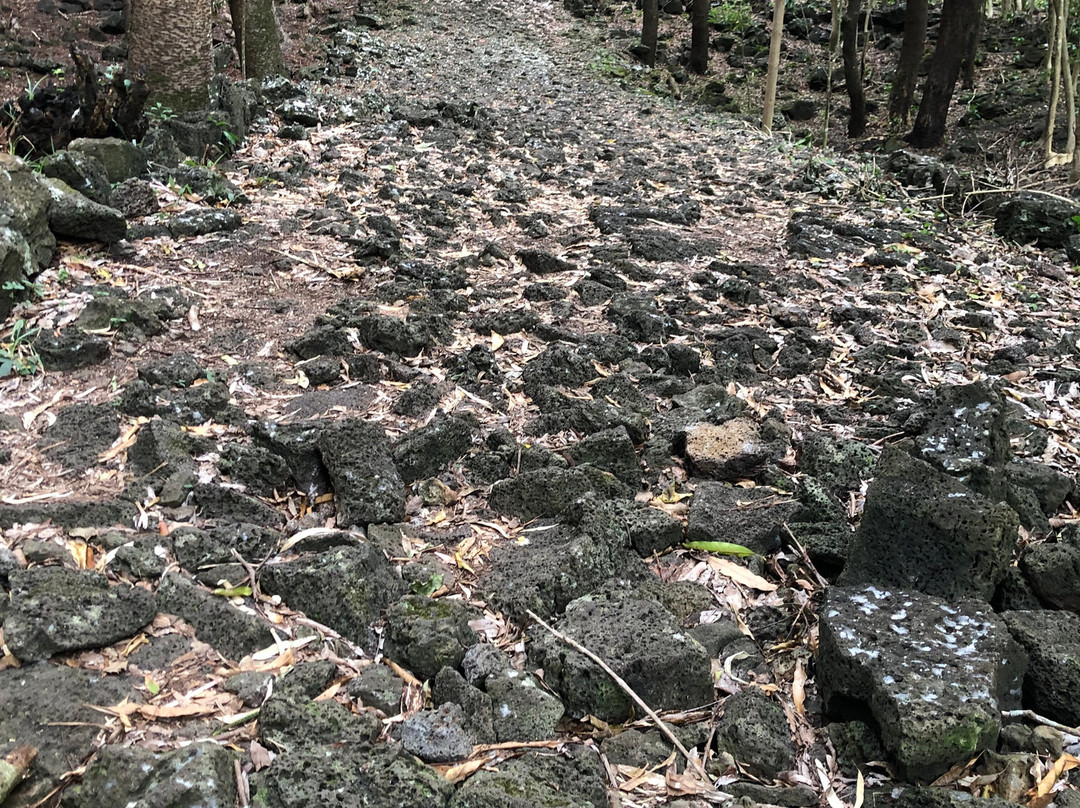 Bras d'Eau National Park-Poste Lafayette必去景点