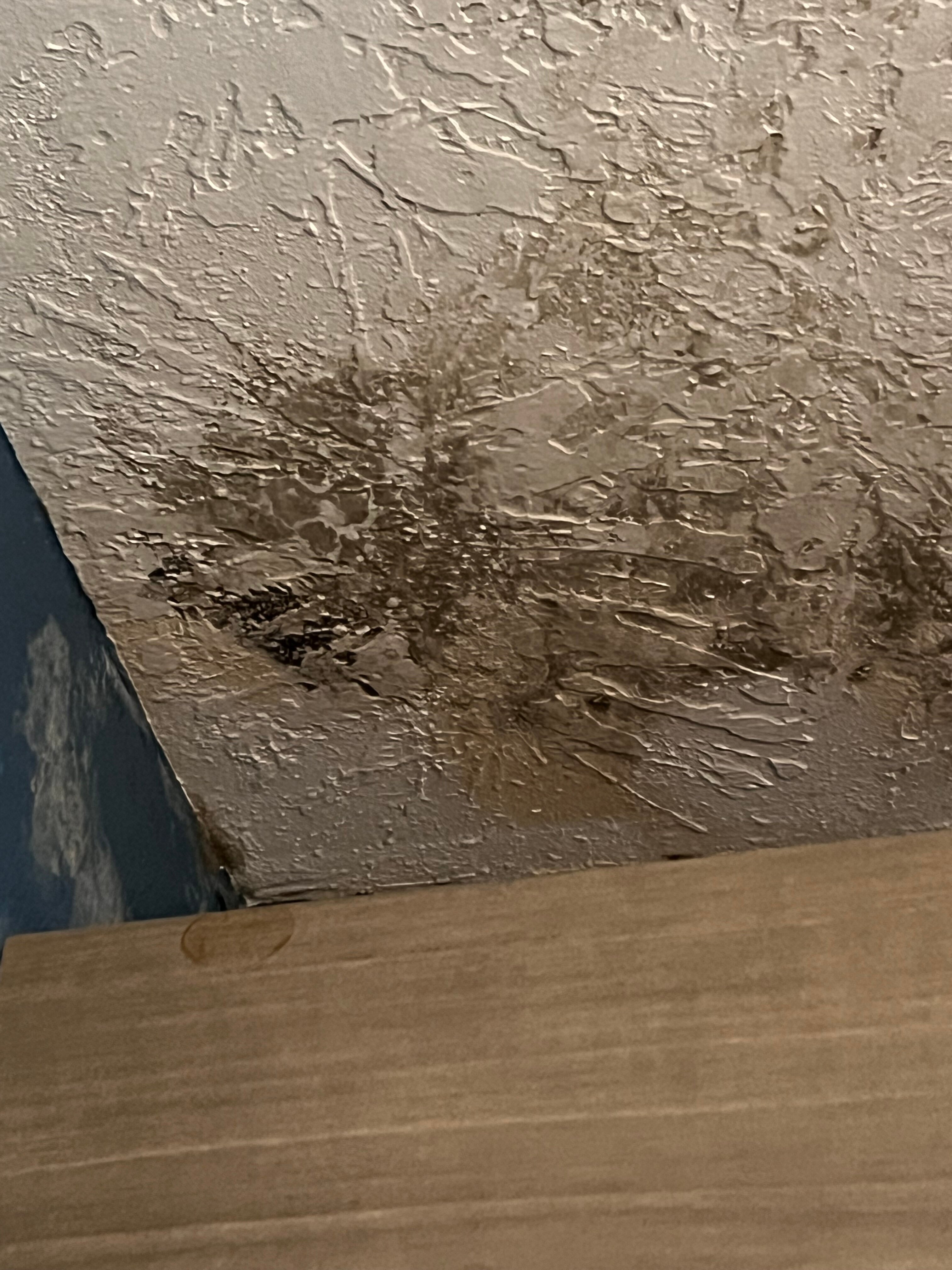 Holiday Inn Express Augusta Downtown By IHG-客卧