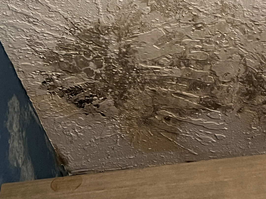 Holiday Inn Express Augusta Downtown By IHG主图