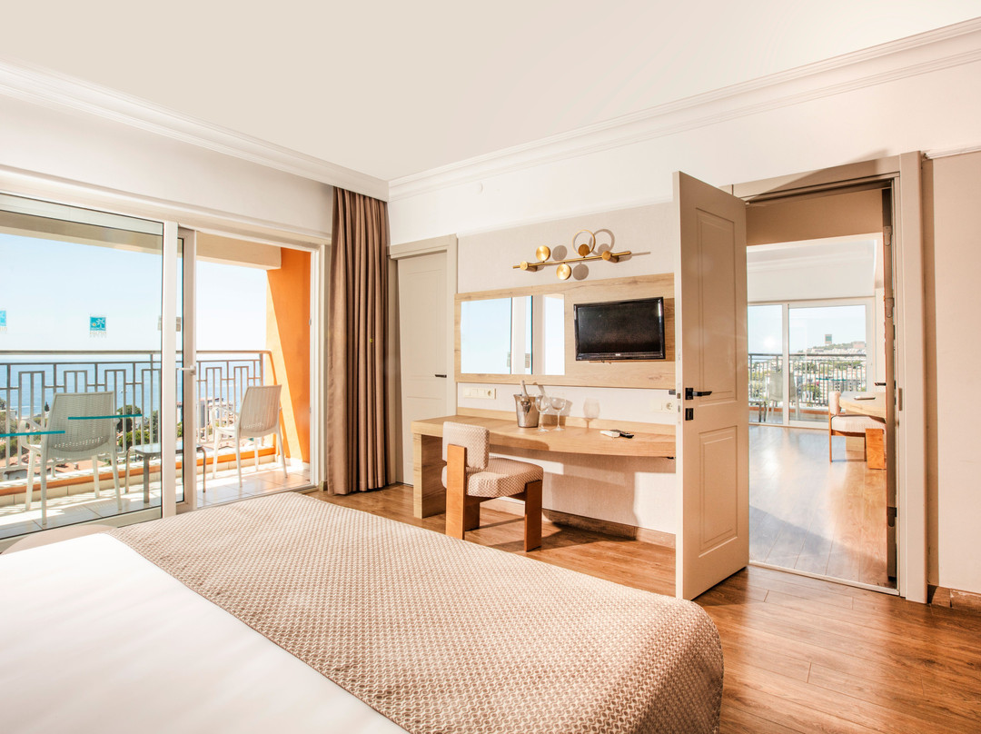 Palmin Hotel主图