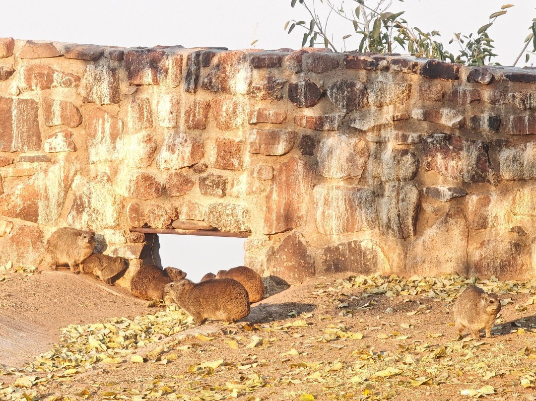 Hardap Dam-马林塔尔必去景点