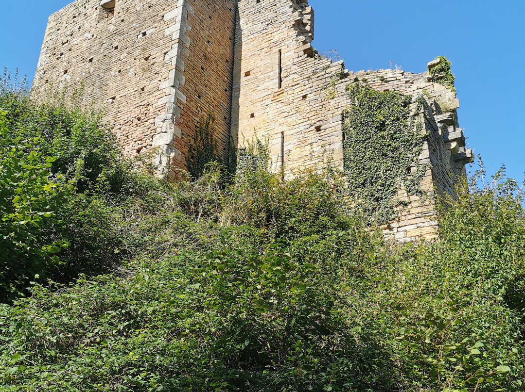 Château de Brancion-Martailly-les-Brancion必去景点