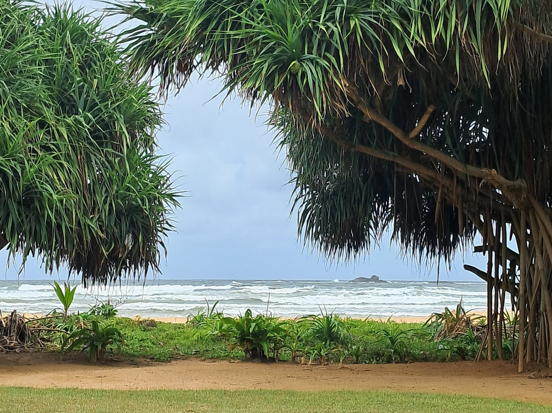 Round Tour in SriLanka by VAC-卡图纳耶克必去景点