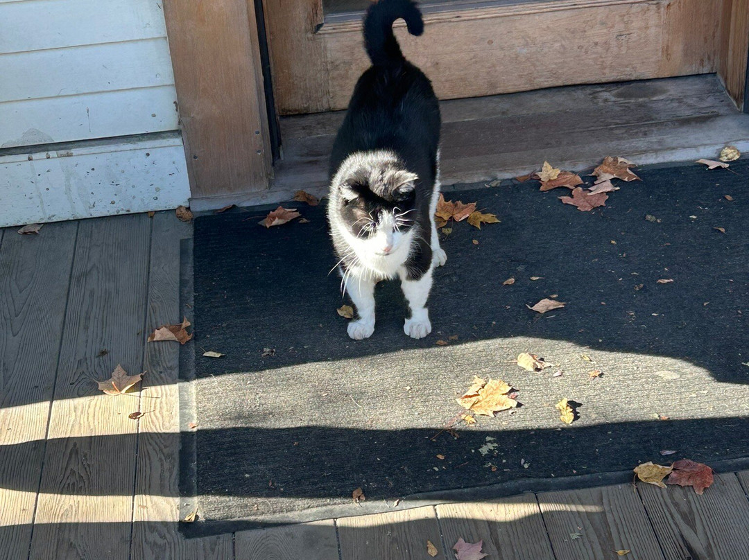 Three Pines Tours-Knowlton必去景点