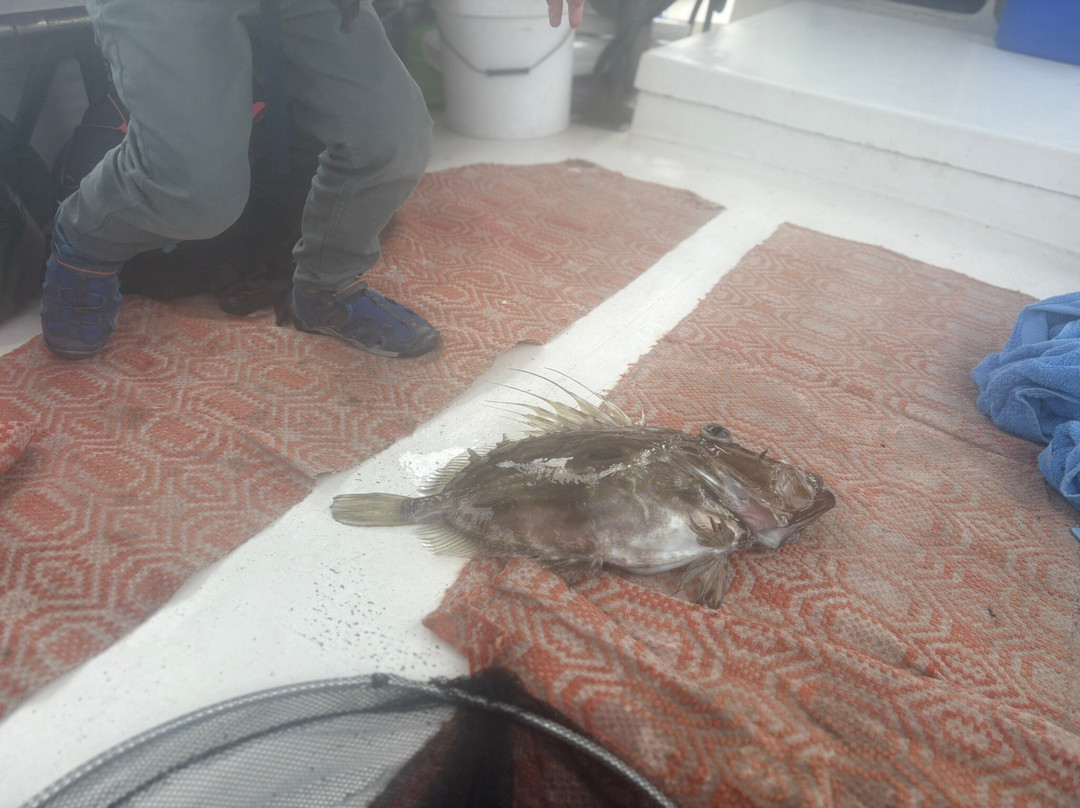 Mitsos Fishing Trips-Petra必去景点