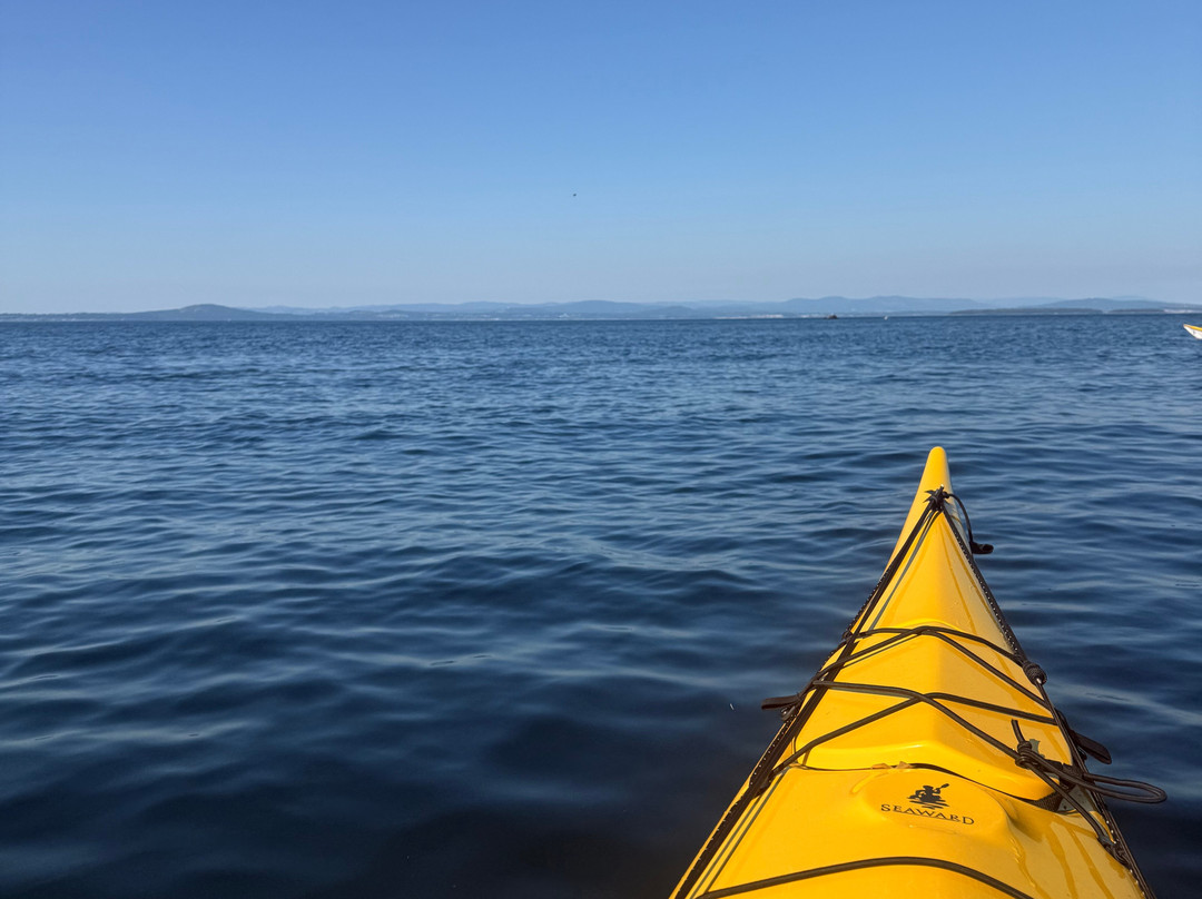 Crystal Seas Kayaking - Day Tours-星期五港湾必去景点